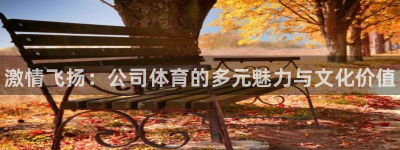 MK体育官方正版app集团logo：激情飞扬：公司体