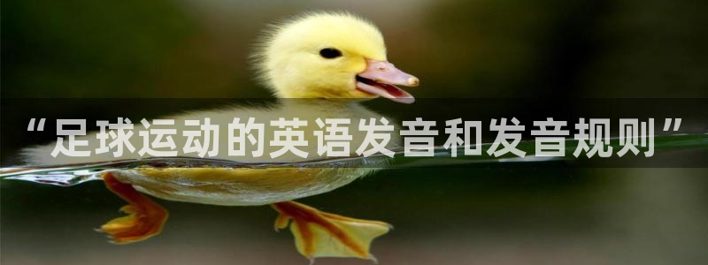MK体育官方正版app娱乐下载：“足球运动的英语发音