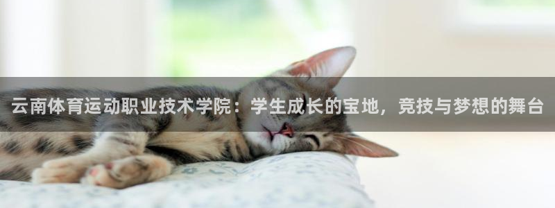MK体育官网下载招商电话地址是多少：云南体育运动职业