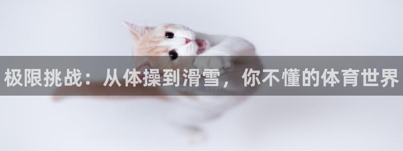 MK体育官网下载平台是正规平台吗知乎：极限挑战：从体
