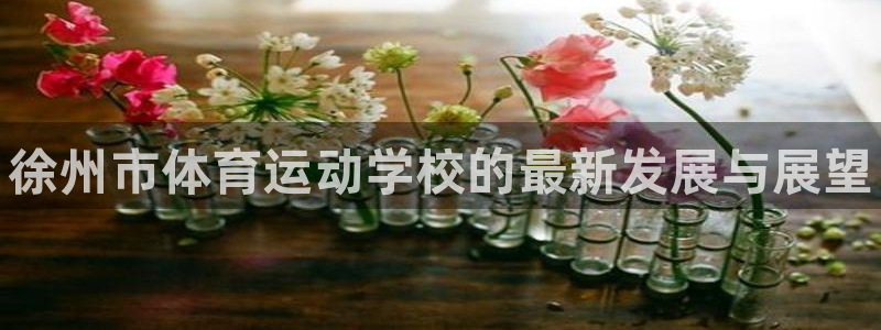 MK体育官网下载招商电话是多少号码：徐州市体育运动学校的最新