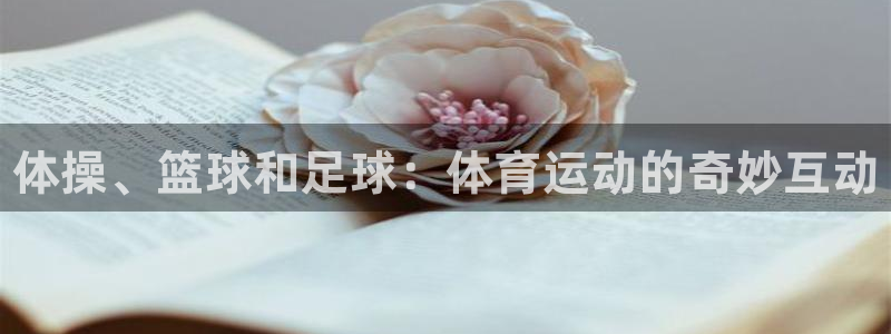 MK体育官方正版app集团简介：体操、篮球和足球：体