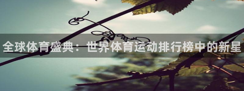MK体育官方平台体育：全球体育盛典：世界体育运动排行