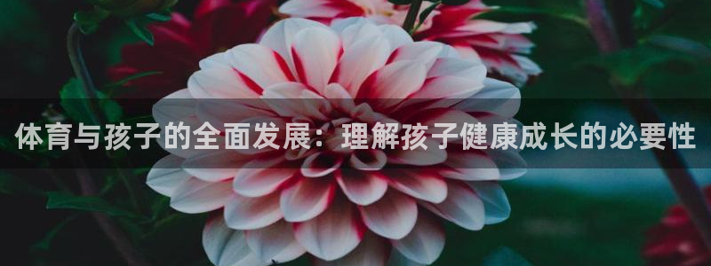 MK体育官网下载：体育与孩子的全面发展：理解孩子健康