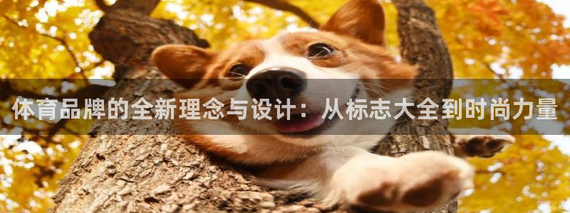 MK体育官网下载软件：体育品牌的全新理念与设计：从标