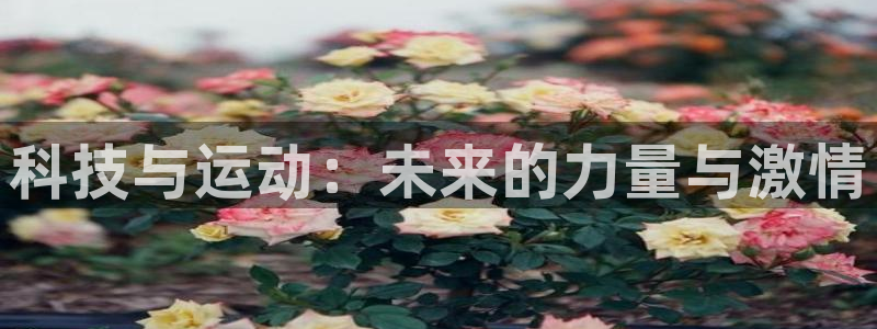 MK体育官方正版app神州：科技与运动：未来的力量与