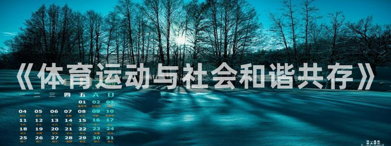 MK体育官方正版app集团E.ON：《体育运动与社会