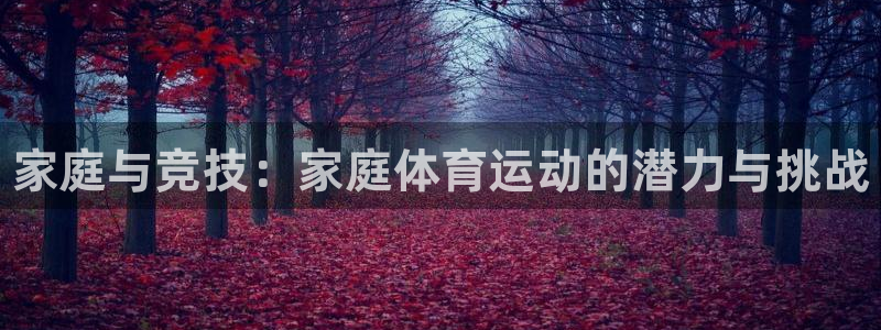 MK体育官方正版app科技：家庭与竞技：家庭体育运动的潜力与