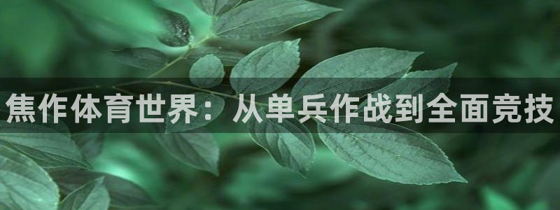 MK体育官网下载招商电话地址：焦作体育世界：从单兵作战到全面