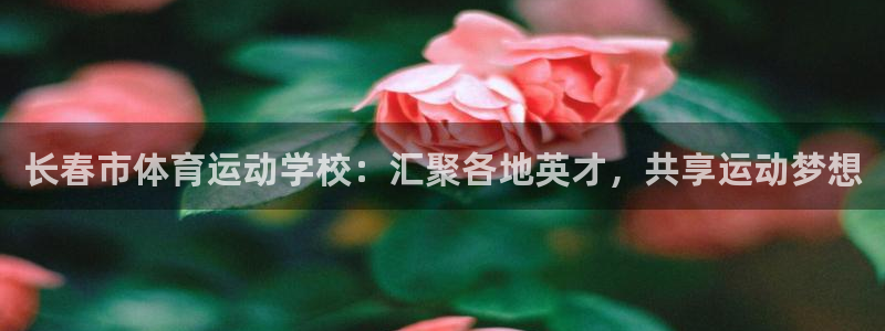 MK体育官方正版app娱乐首页官网下载：长春市体育运