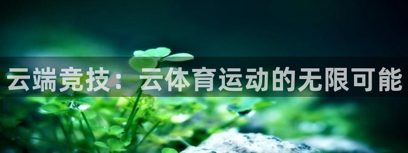 MK体育官网下载招商电话号码查询