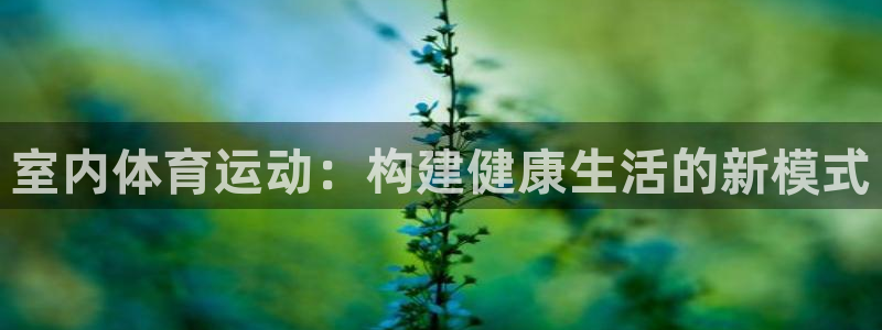 MK体育官网下载平台是正规平台吗：室内体育运动：构建