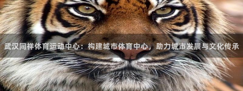 MK体育官方正版app娱乐首页官网下载：武汉同祥体育运动中心