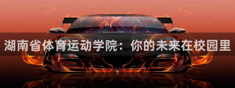 MK体育官方正版app娱乐是那个系列的台子：湖南省体育运动学