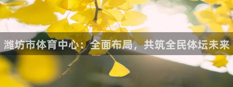 MK体育官方正版app集团：潍坊市体育中心：全面布局，共筑全