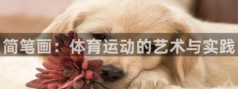 MK体育官网下载平台注册要钱吗：简笔画：体育运动的艺术与实践