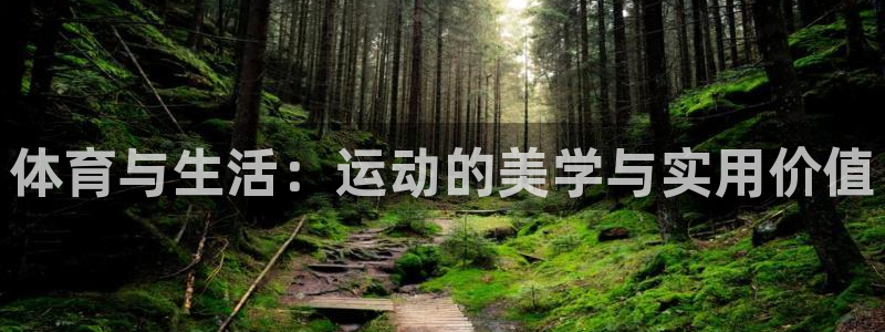 MK体育官网下载平台注册流程视频